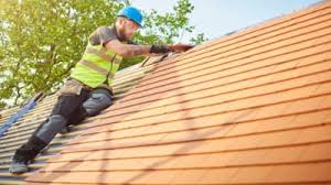 Best Roof Moss and Algae Removal  in Pineland, TX