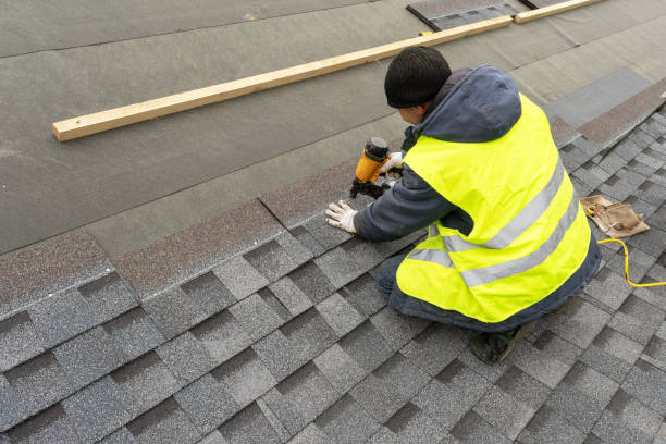 Best Storm Damage Roof Repair  in Pineland, TX