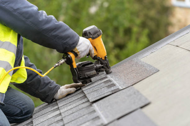 Best Roofing for New Construction  in Pineland, TX