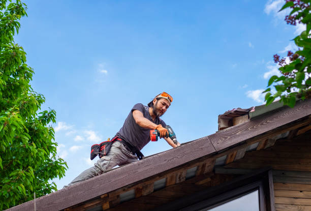 Best Green or Eco-Friendly Roofing Solutions  in Pineland, TX